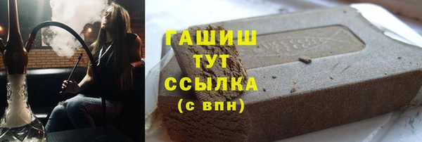 прущие грибы Снежногорск