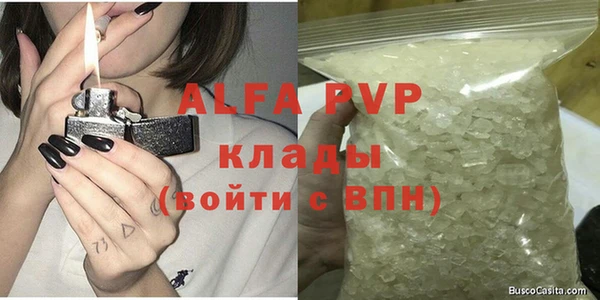 прущие грибы Нефтекумск