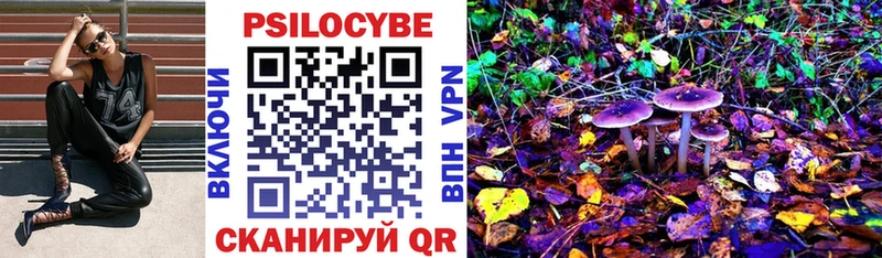 Псилоцибиновые грибы Psilocybine cubensis  Плёс 